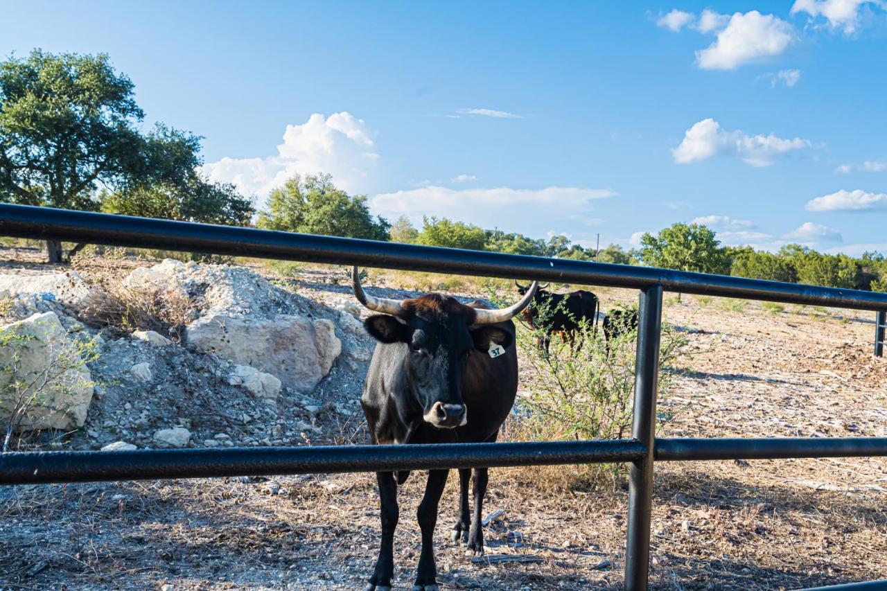 Chalet Gruene Daze - Stylish Aframe - Escape The Ordinary